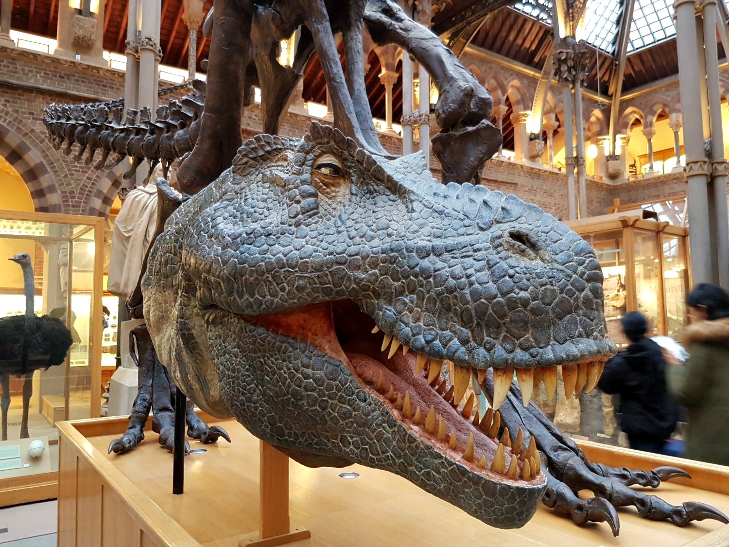 بازدید مجازی از موزۀ تاریخ طبیعی! بازدید مجازی از موزۀ تاریخ طبیعی!