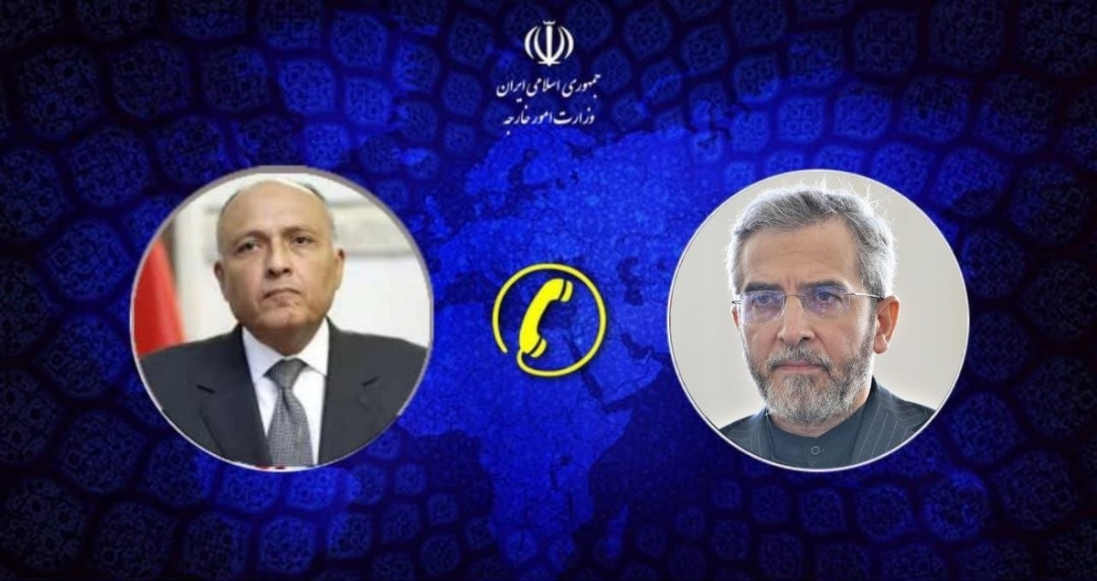 باید از تمام ظرفیتها برای توقف نسلکشی در غزه استفاده شود