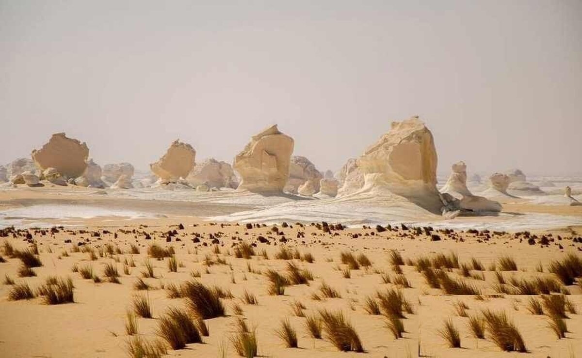 سرزمین بیداء کجاست+ فیلم