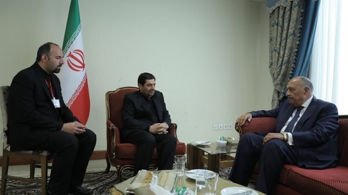 مخبر: تلاشهای شهدای خدمت در حمایت از فلسطین ماندگار است/ شکری: مصر خواستار تقویت روابط با ایران است