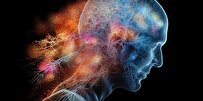 مفهوم آگاهی پسا زندگی| علم در جست‌وجوی معمای مرگ