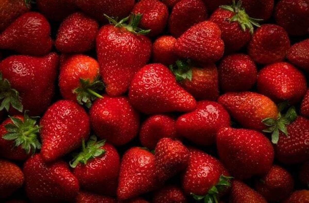 خواص توت فرنگی در سلامت/ ضد سرطان و بیماریهای قلبی