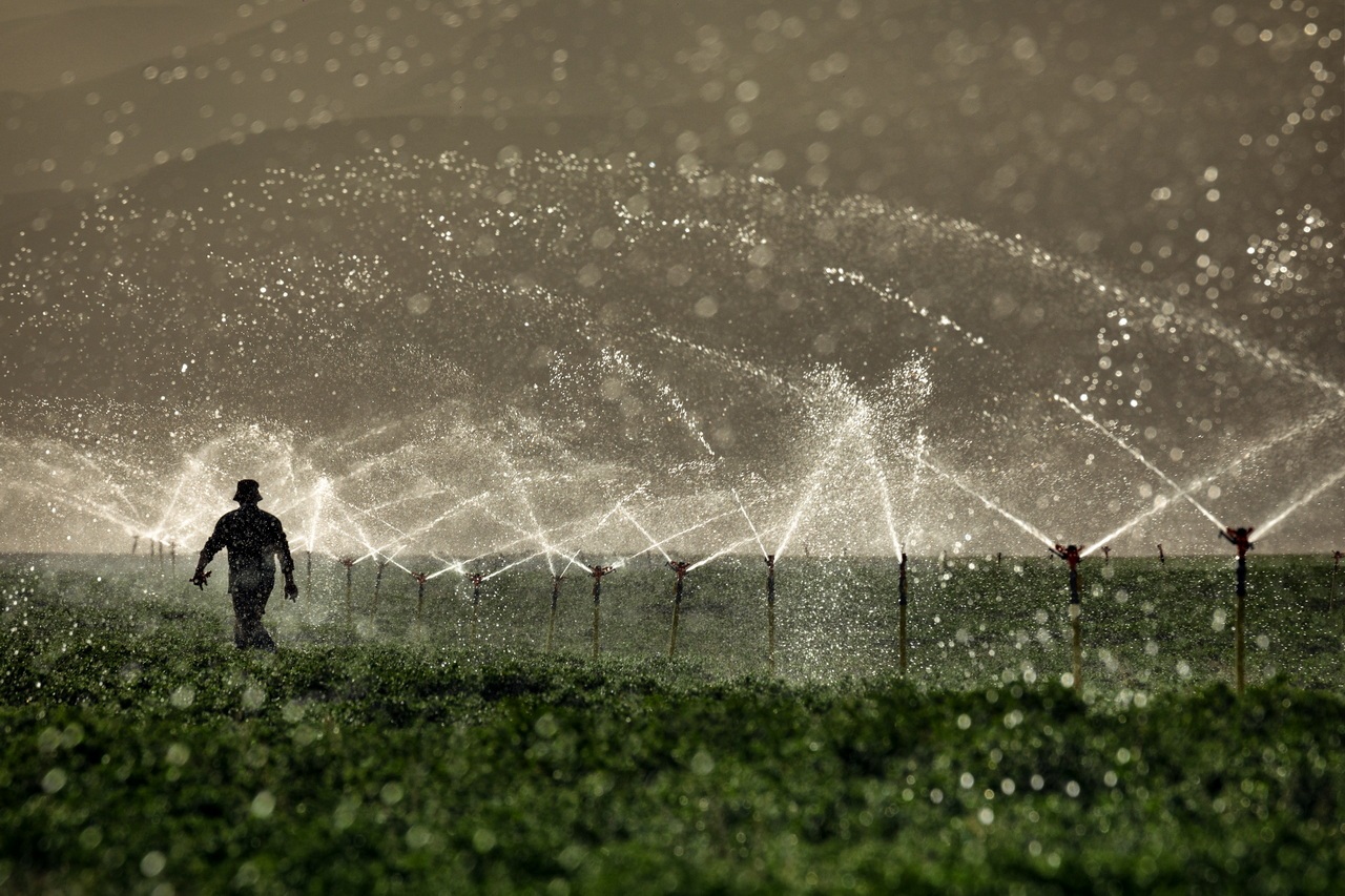 نکاتی در مورد استفاده از فضای منفی در عکسها نکاتی در مورد استفاده از فضای منفی در عکسها