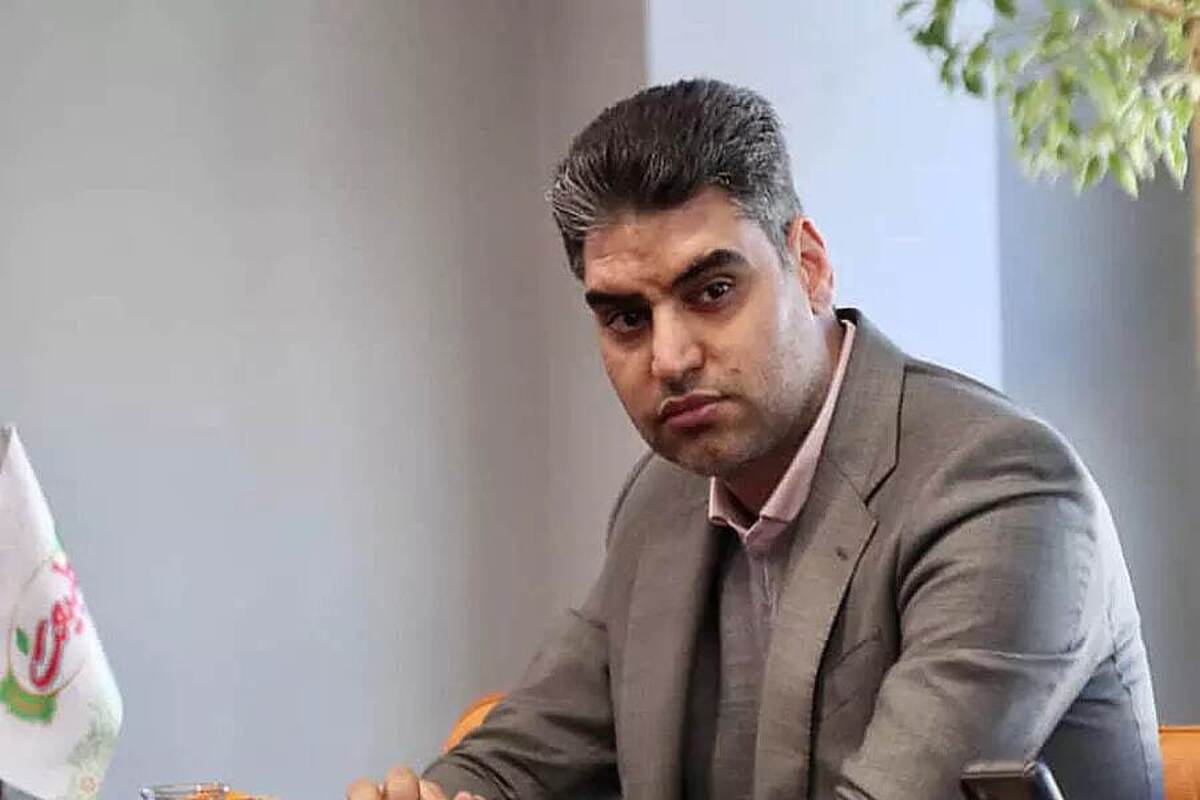عضو هیئت مدیره پرسپولیس: برای انعقاد قراردادهای جدید منتظر پایان محرومیت مدیرعامل هستیم