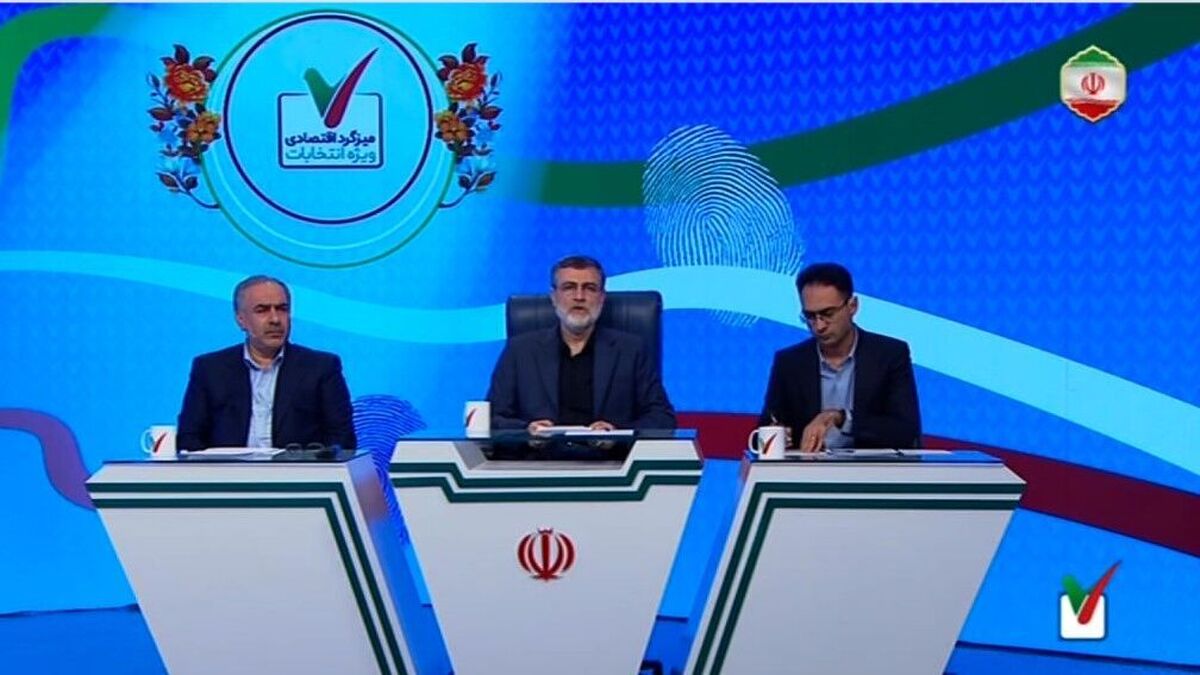 قاضیزاده هاشمی : بخش خصوصی انگیزه لازم برای سرمایهگذاری را نداشته است