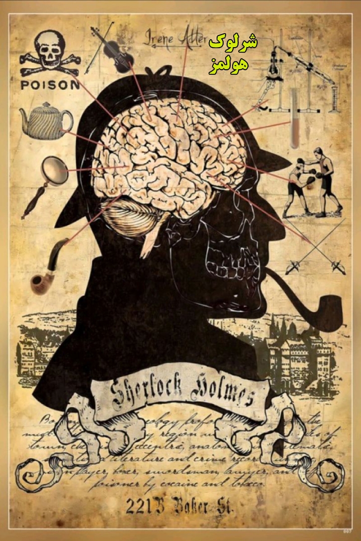 مغز انسان چه رنگی است؟ مغز انسان چه رنگی است؟