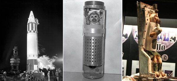 ۸ خرداد در دنیای علم چه خبر؟ ۸ خرداد در دنیای علم چه خبر؟