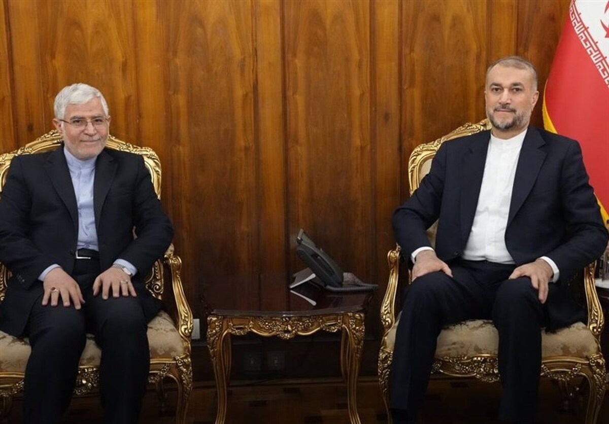 نصرآبادی: شهید امیرعبداللهیان یاور آفریقا بود