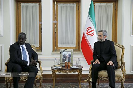 دیدار مشاور عالی رئیس جمهور کوبا با سرپرست وزارت امور خارجه