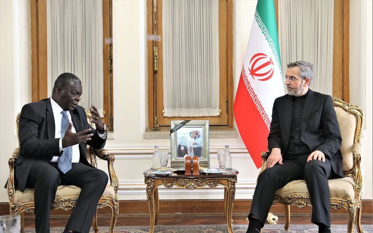 باقری: تعمیق روابط ایران و کوبا به نفع چندجانبهگرایی در جهان است