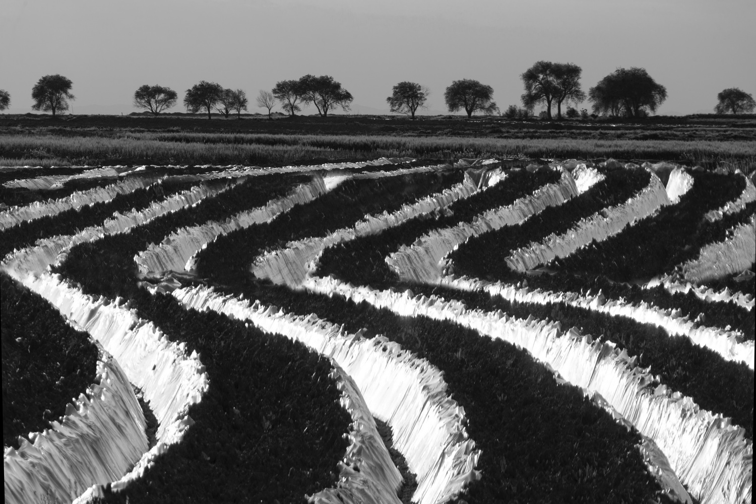 ۱۰ نکته کاربردی در «عکاسی منظره» ۱۰ نکته کاربردی در «عکاسی منظره»