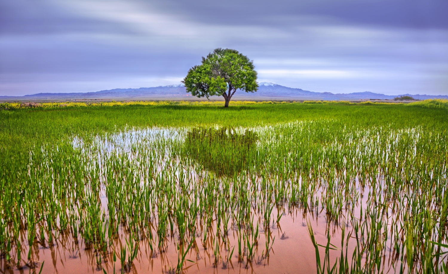 ۱۰ نکته کاربردی در «عکاسی منظره» ۱۰ نکته کاربردی در «عکاسی منظره»