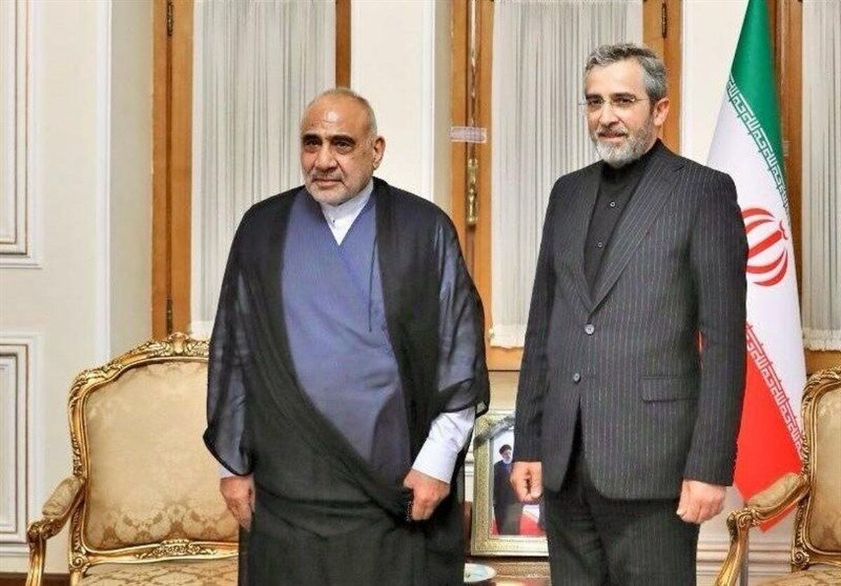 باقری: نخبگان جهان اسلام برای توقف نسلکشی در فلسطین تلاش کنند