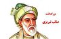 شعر صائب آیینه تمامنمای نگرش حاکم بر جامعه شیعی