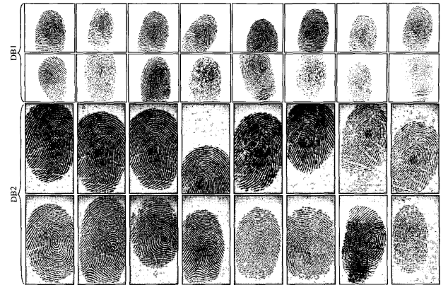 ۱۱ حقیقت درباره اسکنر بیومتریک اثر انگشت/ اولین دستگاه اثر انگشتخوان در ۱۹۶۹ عرضه شد! ۱۱ حقیقت درباره اسکنر بیومتریک اثر انگشت/ اولین دستگاه اثر انگشتخوان در ۱۹۶۹ عرضه شد!