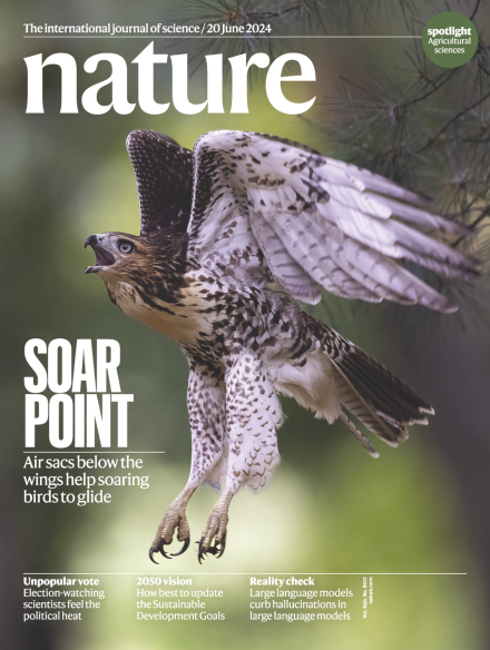 هفته اول ژوئیه؛ از کیسه هوای شاهینها تا پرسشهای بیشمار انسان درباره کیهان هفته اول ژوئیه؛ از کیسه هوای شاهینها تا پرسشهای بیشمار انسان درباره کیهان