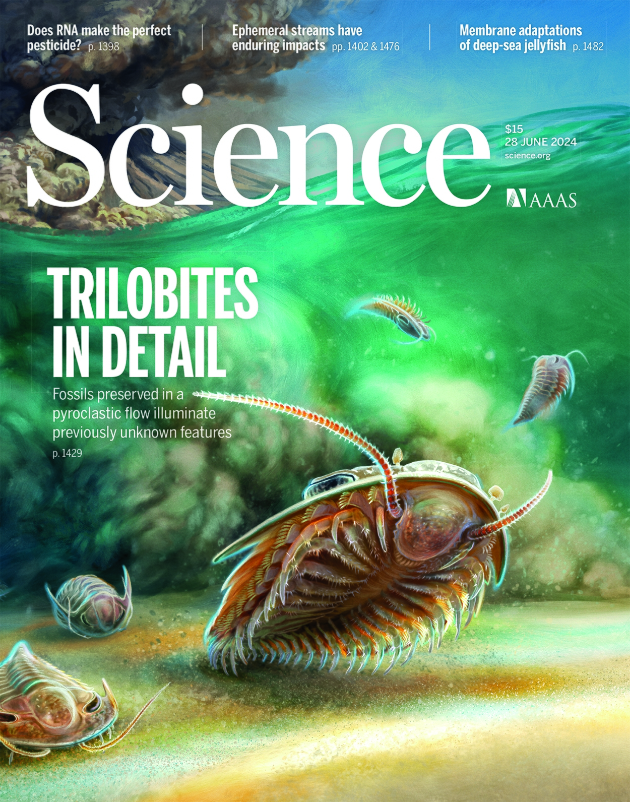 هفته اول ژوئیه؛ از کیسه هوای شاهینها تا پرسشهای بیشمار انسان درباره کیهان هفته اول ژوئیه؛ از کیسه هوای شاهینها تا پرسشهای بیشمار انسان درباره کیهان