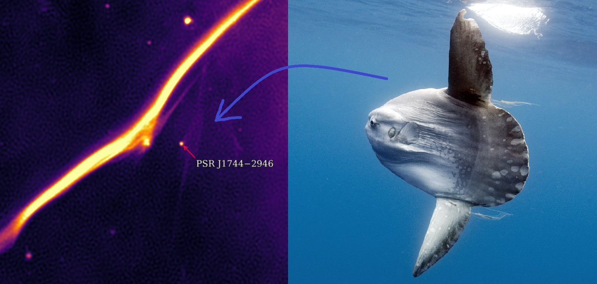 تصاویر نجومی دوازدهم تیر (۲ ژوئیه) تصاویر نجومی دوازدهم تیر (۲ ژوئیه)