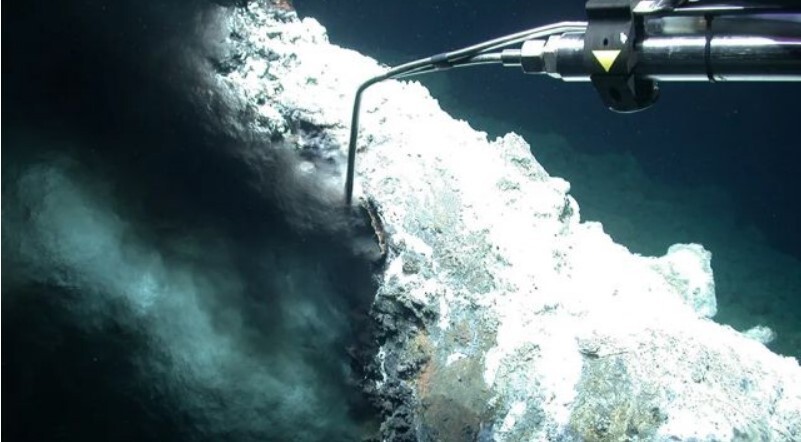 کشف سرزمین عجایب در اعماق دریا کشف سرزمین عجایب در اعماق دریا