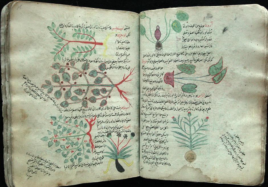 ابوحنیفه دینوری، دانشمندی از دیار دینور| گیاهشناسی ایرانی در رقابت با نوابغ یونانی ابوحنیفه دینوری، دانشمندی از دیار دینور| گیاهشناسی ایرانی در رقابت با نوابغ یونانی