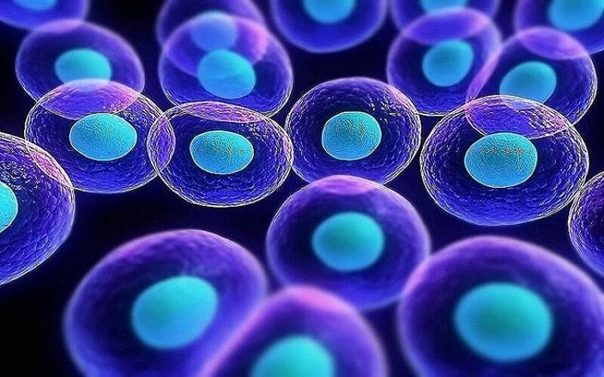 بررسی آخرین یافتههای علمی ژنتیک و سلول بنیادی در کنگره ژنتیک