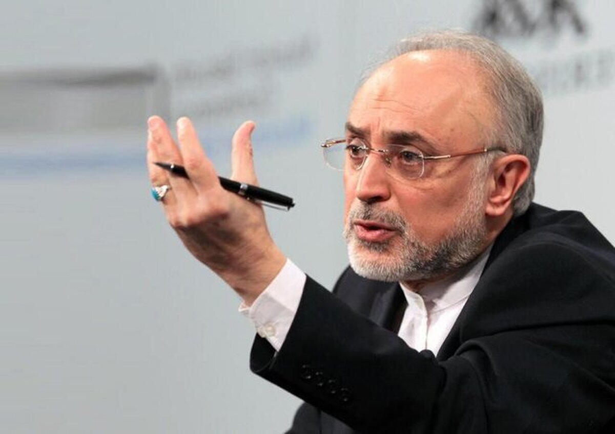 پیشنهاد علیاکبر صالحی به دولت منتخب