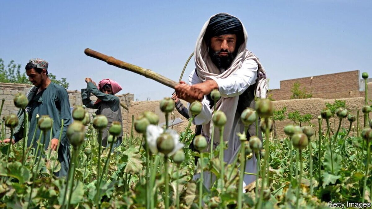 پلیس افغانستان: از قاچاق ۱۰ تُن مواد مخدر به ایران جلوگیری شد