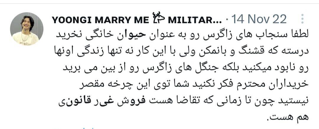 از جغد مینیاتوری تا میمون بندانگشتی در بازار سیاه از جغد مینیاتوری تا میمون بندانگشتی در بازار سیاه