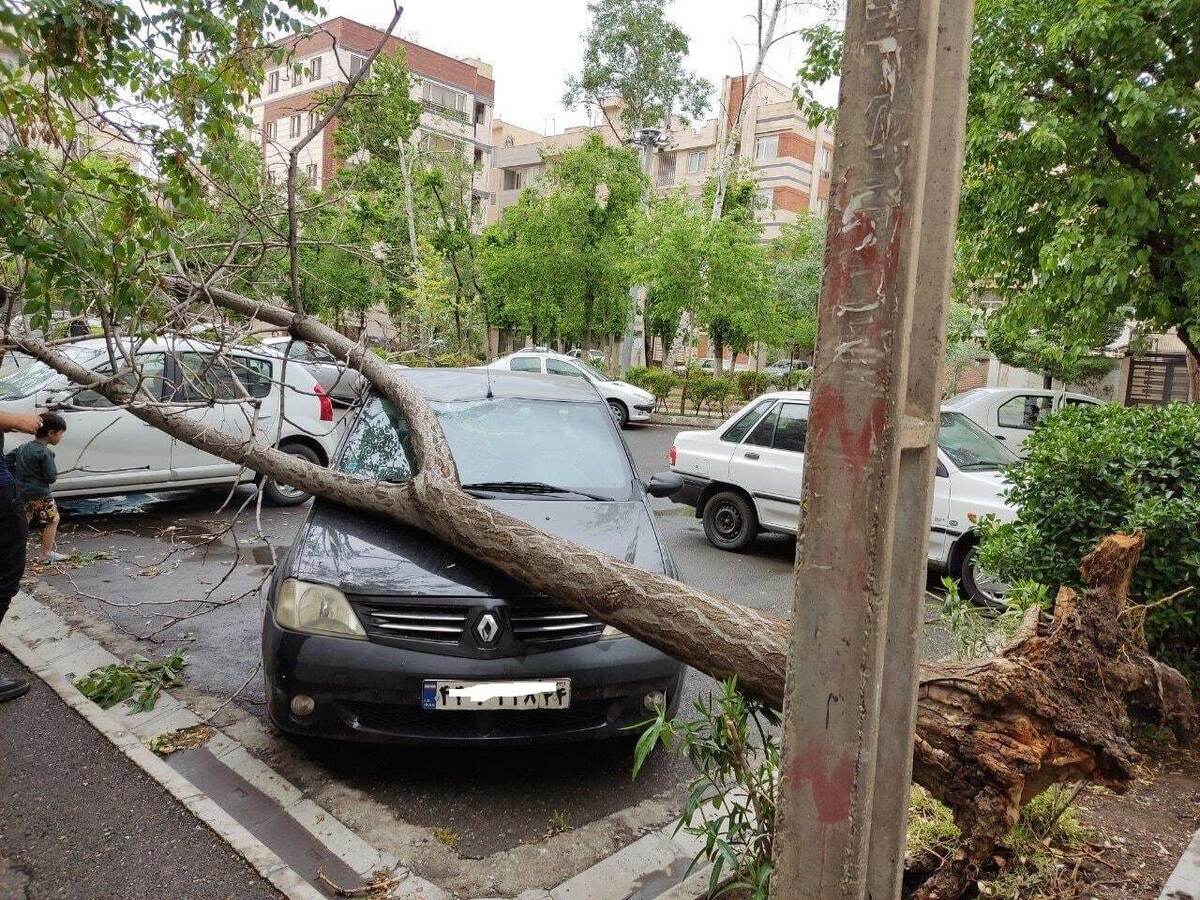 باد و باران شدید مهمان ناخوانده ۱۳ استان  پایتخت امروز طوفانی است