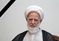 آیت‌الله علی نکونام دار فانی را وداع گفت + زندگینامه
