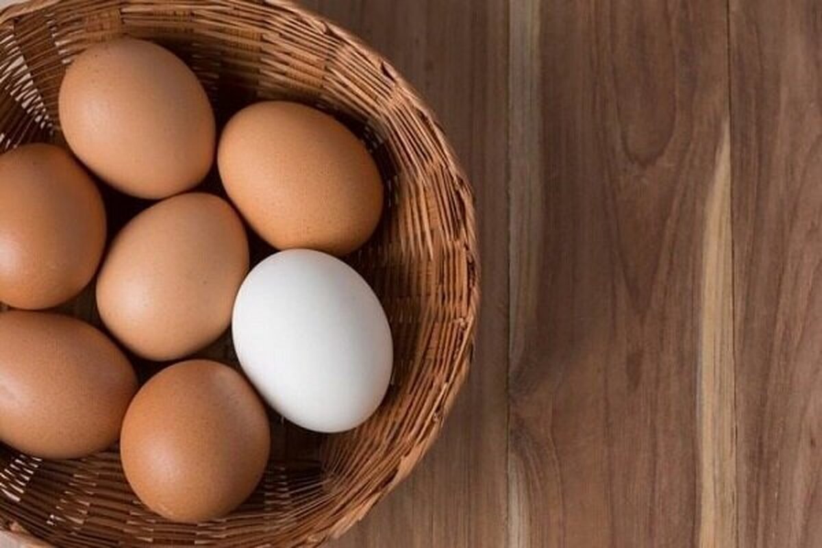 تخم مرغ قهوهای رنگ نشانه ارزش غذایی بالا نیست