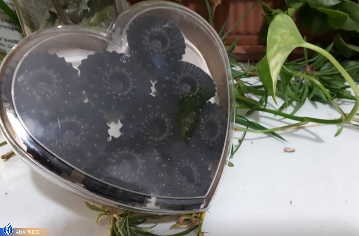 نوآوری یک واحد فناور در تولید شکلات؛ برای همیشه با «پوکی استخوان»، «دیابت» و «سنگ کلیه» خداحافظی کنید نوآوری یک واحد فناور در تولید شکلات؛ برای همیشه با «پوکی استخوان»، «دیابت» و «سنگ کلیه» خداحافظی کنید