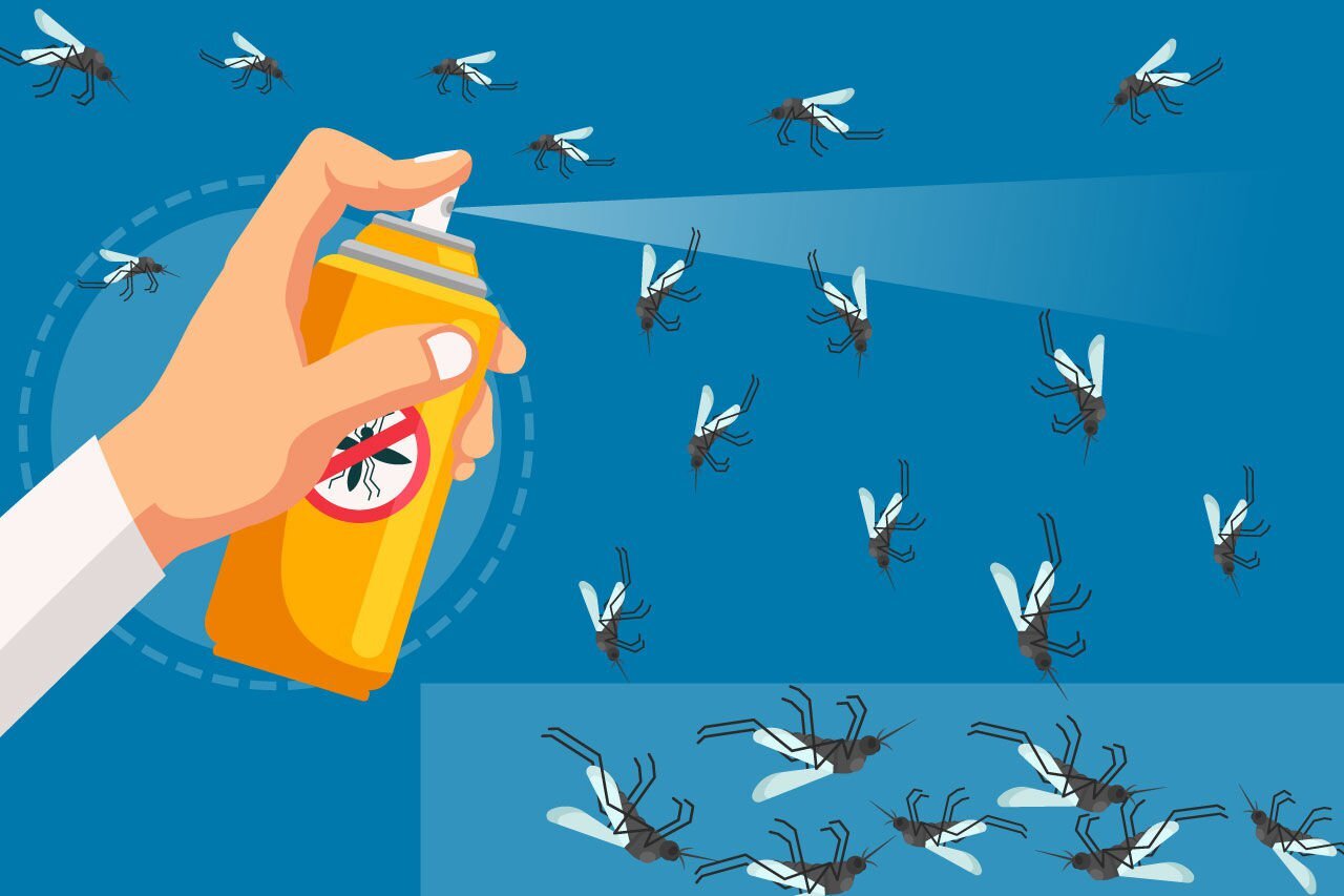 بررسی رفتار حشرات در فصل تابستان بررسی رفتار حشرات در فصل تابستان