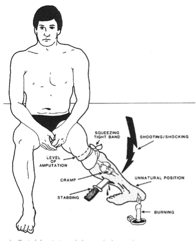 مغز شگفتانگیز؛ حقایقی از حیاتیترین عضو بدن که نمیدانید! مغز شگفتانگیز؛ حقایقی از حیاتیترین عضو بدن که نمیدانید!