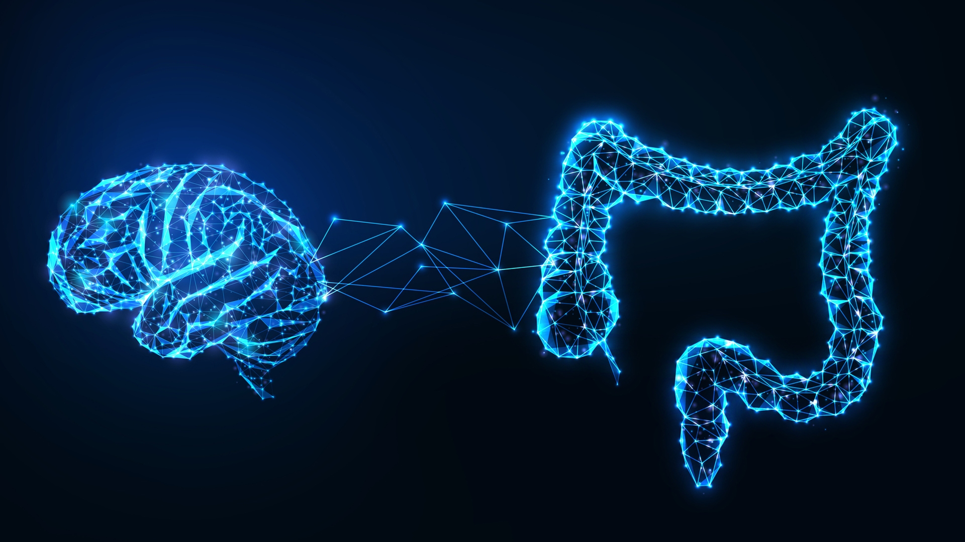 حقایقی در مورد مغز که نمیدانید! حقایقی در مورد مغز که نمیدانید!