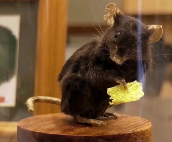 ۲ مرداد در دنیای علم چه خبر؟ ۲ مرداد در دنیای علم چه خبر؟