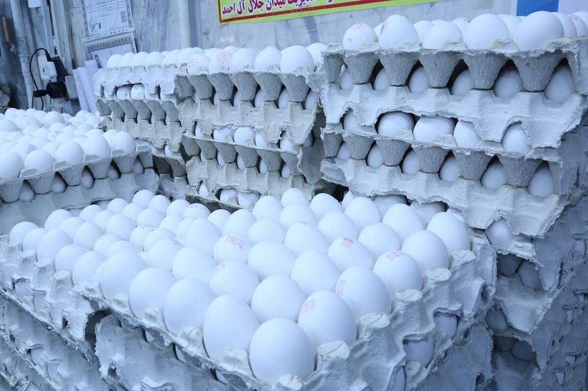 قیمت تخم مرغ پوسته سفید در میادین و بازارهای میوه و ترهبار اعلام شد