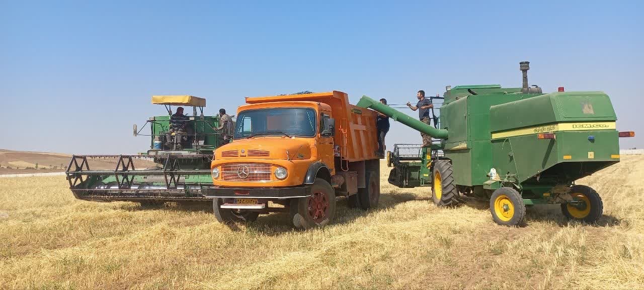 برداشت 20 تُن گندم از مزرعه تحقیقاتی دانشگاه آزاد هریس برداشت 20 تُن گندم از مزرعه تحقیقاتی دانشگاه آزاد هریس