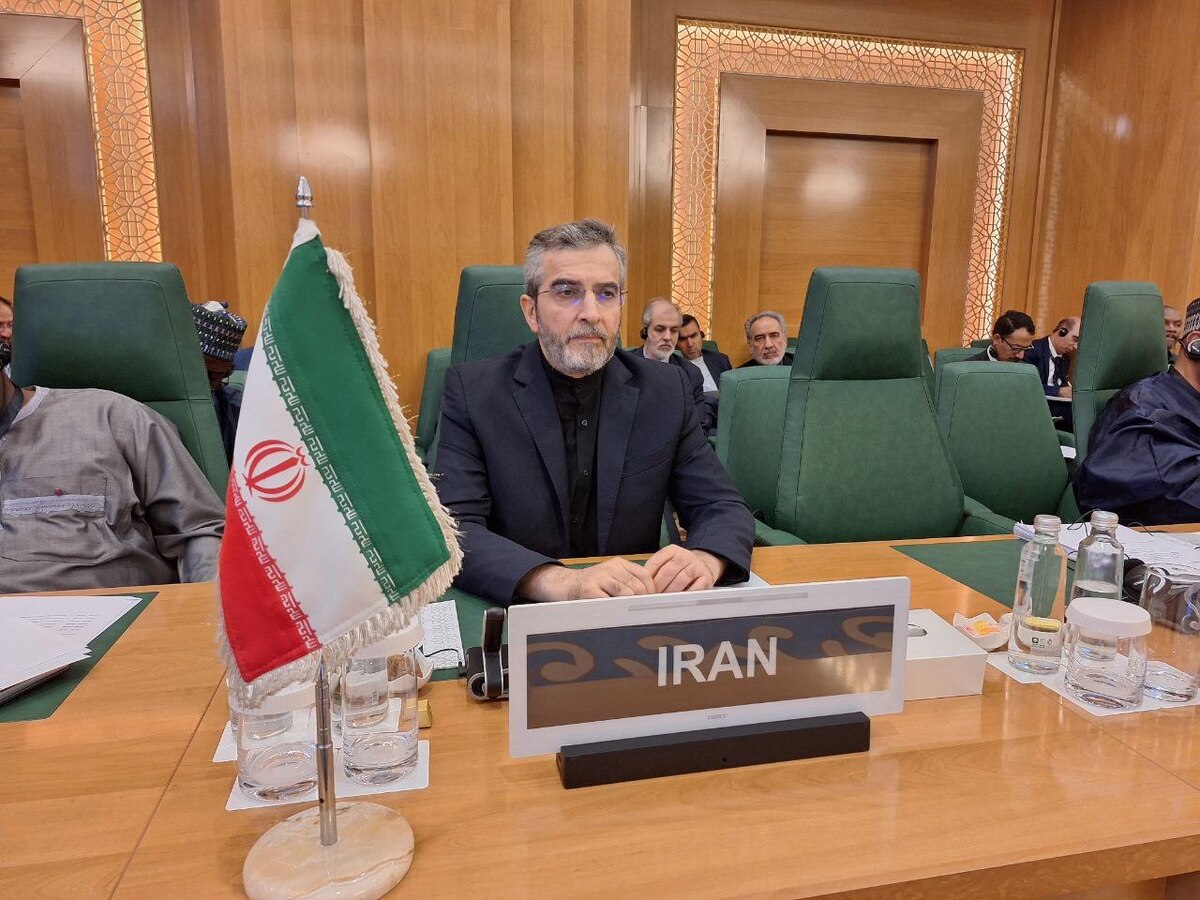 سازمان همکاری اسلامی در معرض آزمونی جدی است/ ایران گزینهای جز دفاع مشروع ندارد