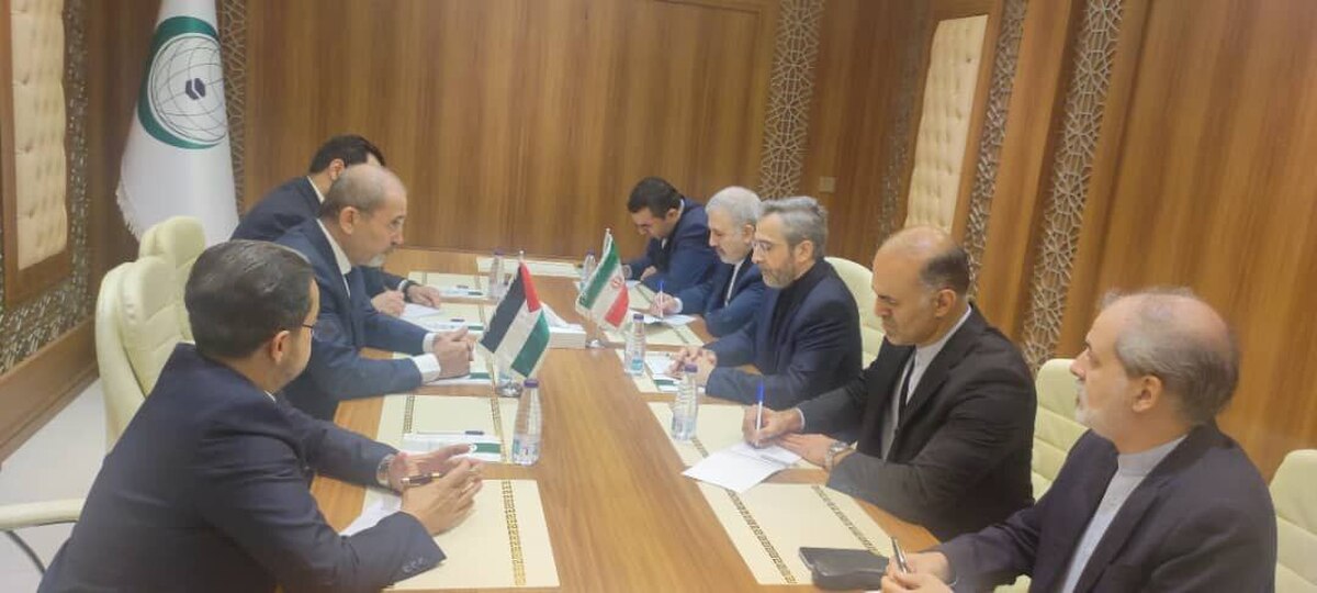 باقری با معاون نخست وزیر اردن دیدار و گفتوگو کرد