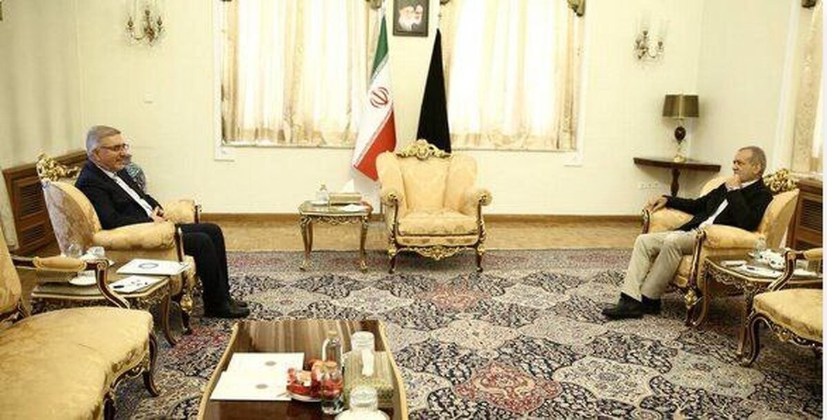 منظور: به عنوان مشاور حتماً در خدمت پزشکیان خواهیم بود