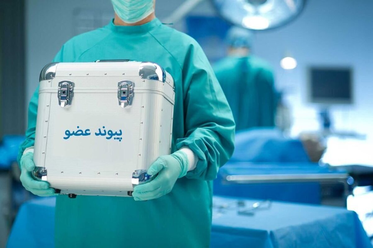 تشخیص موفقیت در پیوند اعضا ممکن شد