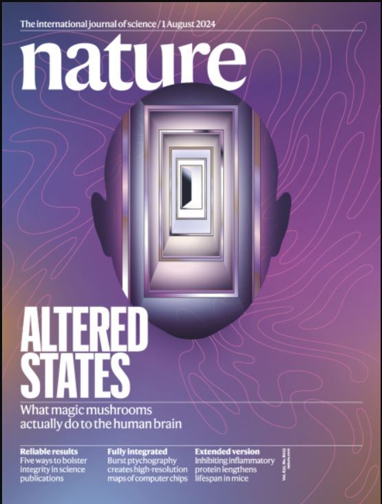 هفته اول اوت؛ از «تاثیر استعمار بر دنیای علم» تا «قارچهایی با خواص دارویی» هفته اول اوت؛ از «تاثیر استعمار بر دنیای علم» تا «قارچهایی با خواص دارویی»