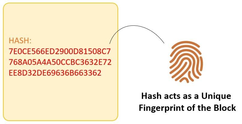 ۱۱ حقیقت درباره « بلاکچین»/ اولین بار بیتکوین برای خرید پیتزا استفاده شد! ۱۱ حقیقت درباره « بلاکچین»/ اولین بار بیتکوین برای خرید پیتزا استفاده شد!