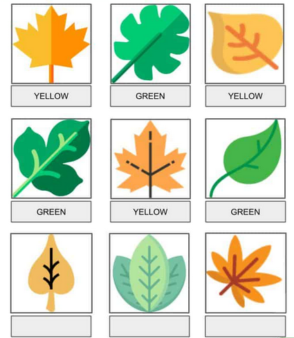 ابن رشد و طبقهبندی همهچیز ابن رشد و طبقهبندی همهچیز