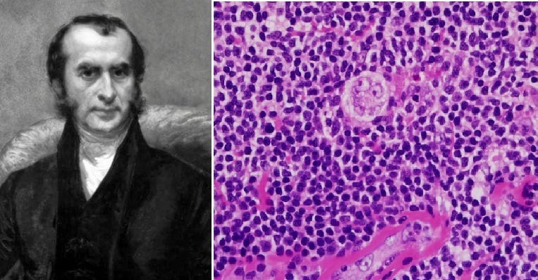 ۲۷ مرداد در دنیای علم چه خبر؟ ۲۷ مرداد در دنیای علم چه خبر؟