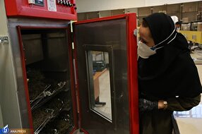 توسعه واحدهای نوآور و کسب و کارهای دانشبنیان در سال ۱۴۰۲