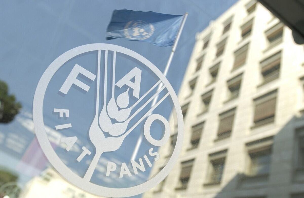تقویت دسترسی ایران به صندوق اقلیم سبز با سیاستهای دانشبنیان و فناوریهای سالم