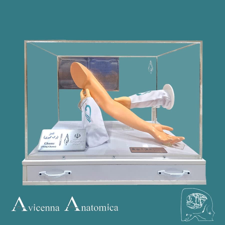 تسهیل انتقال مفاهیم پزشکی با ساخت مولاژ&zwnj;های اختصاصی