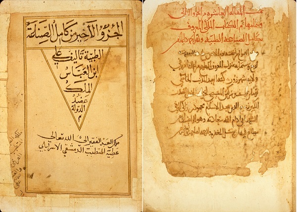 مجوسی؛ یکی از آن سه پزشک نامدار| تاثیر طب ملکی بر کتاب قانون ابنسینا مجوسی؛ یکی از آن سه پزشک نامدار| تاثیر طب ملکی بر کتاب قانون ابنسینا